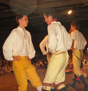 IMG 4011 01