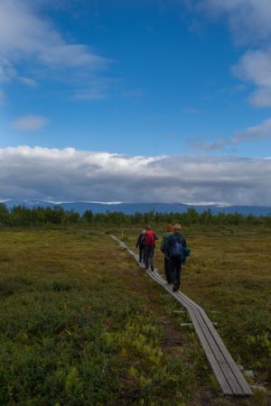 Abisko2021 079