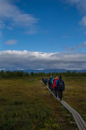 Abisko2021 080