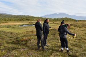 Abisko 161
