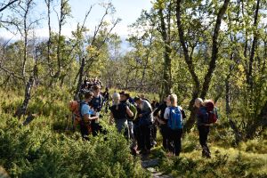 Abisko25 002