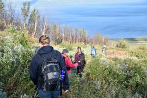 Abisko25 039