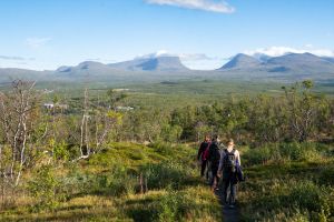 Abisko25 040