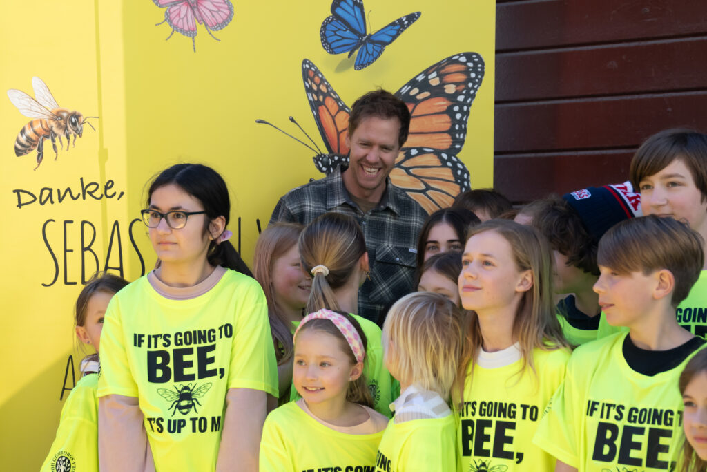 Besok Vettel Lilla 13