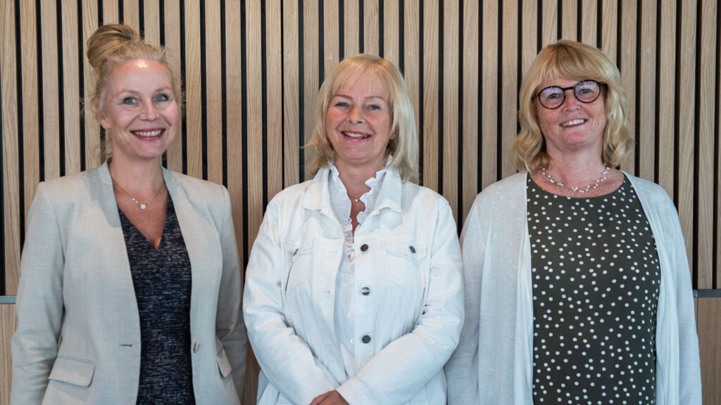 Ledningsgruppen LG Lilla