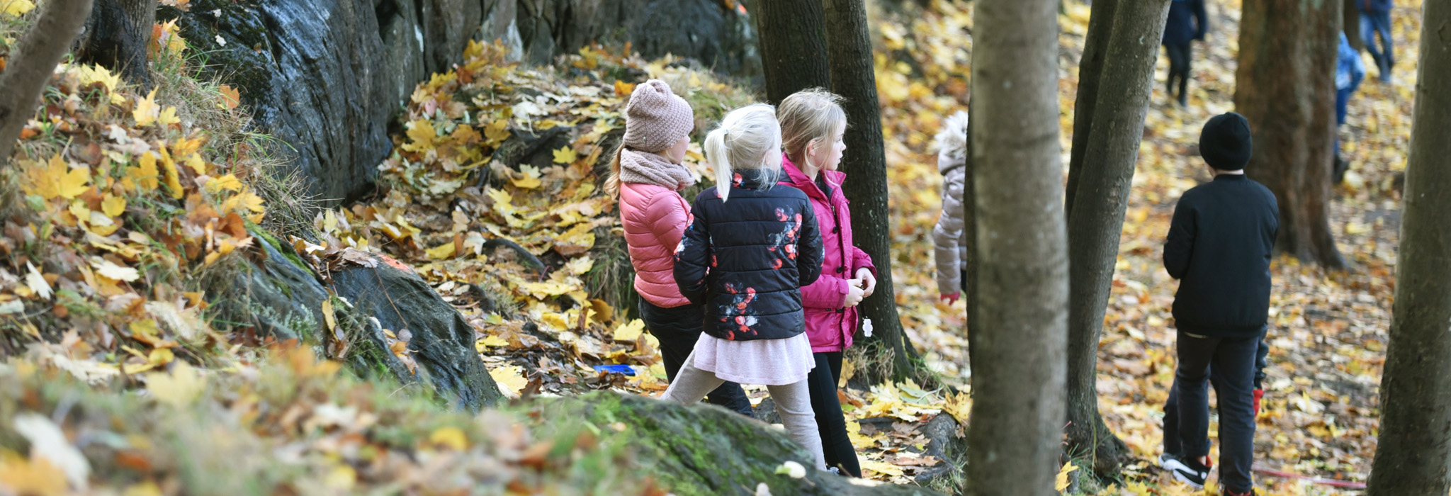 lasaret forskolan gronflagg