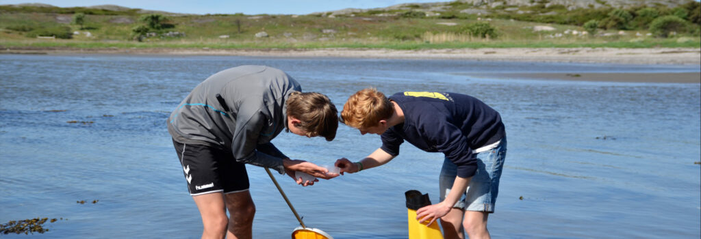 Marinexkursion (Rörö)